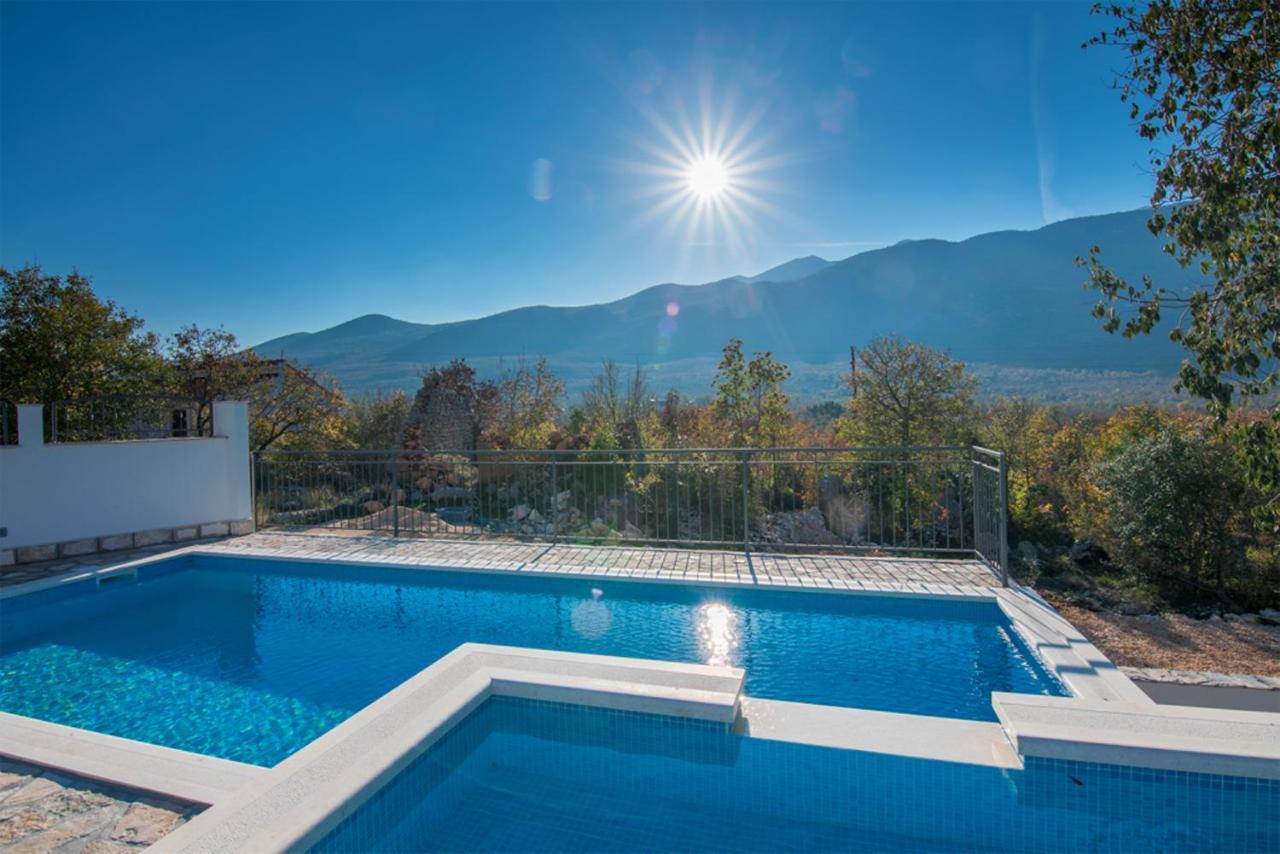 Villa Dvori Stipanovi With Heated Pool And Jacuzzi à Donje Rascane Extérieur photo